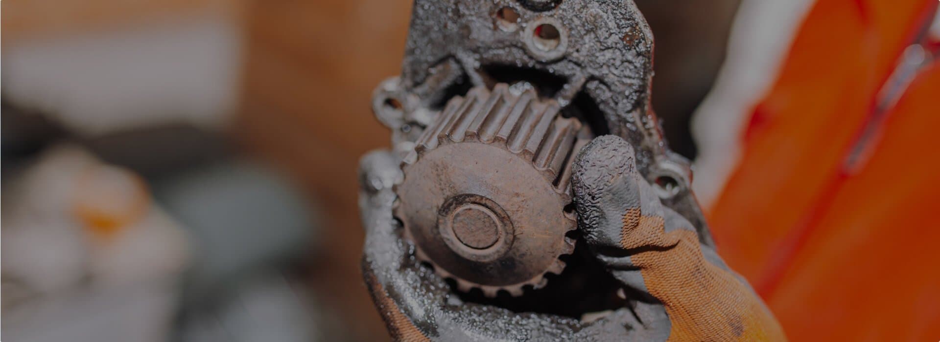 slider Image 3